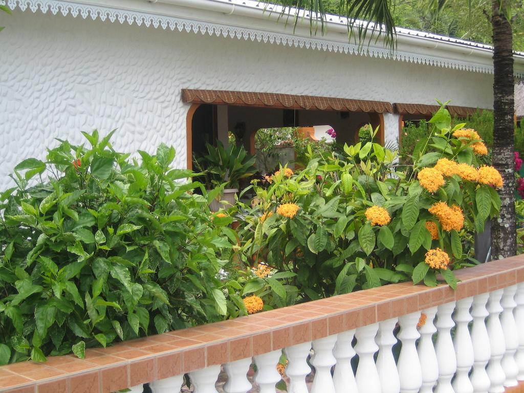 Villa Milou Baie Sainte Anne Quarto foto